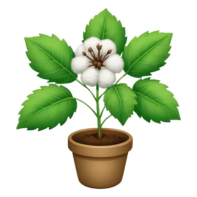 small cotten plant sticker