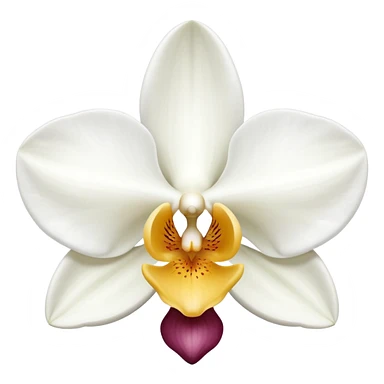 orchid sticker