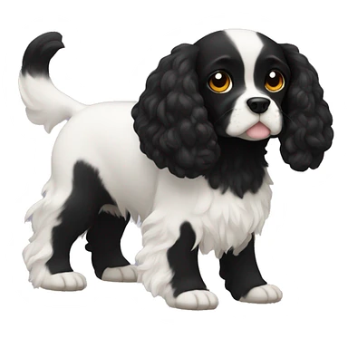 Small completely black king spaniel with black fur on his whole face and white fur on chest sticker