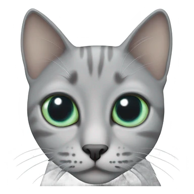 grey and shorthair cat, one blue eye and one green eye sticker
