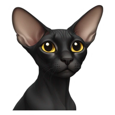 Black sphinx cat young sticker