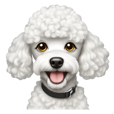 White mini poodle  sticker
