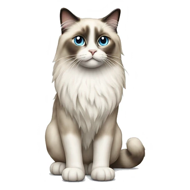 standing ragdoll cat facing left, full body sticker