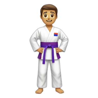 taekwondo-purple-belt sticker