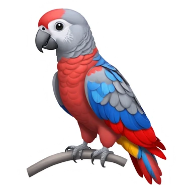 African grey bird sticker