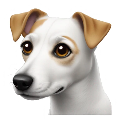 White jack russel sticker