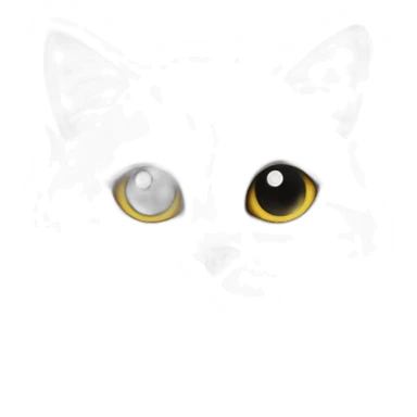 Cat love star Black sticker