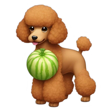 Light brown poodle with a piece of melon sticker