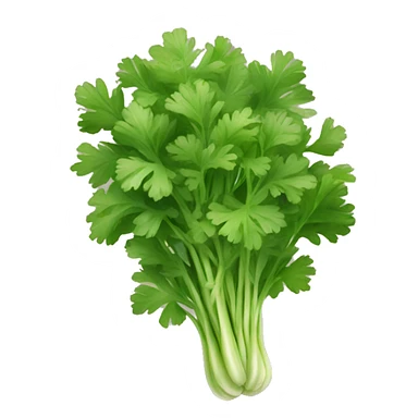Cilantro sticker