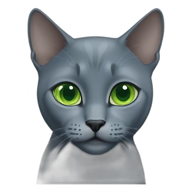 Russian blue cat with green eyes sticker