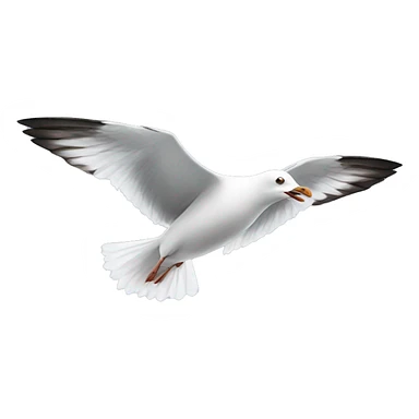 Seagull flying sticker