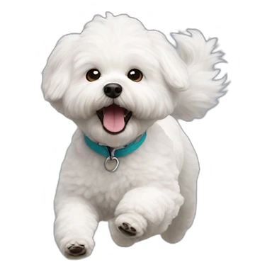 fluffy bichon frise running sticker
