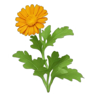 Calendula sticker