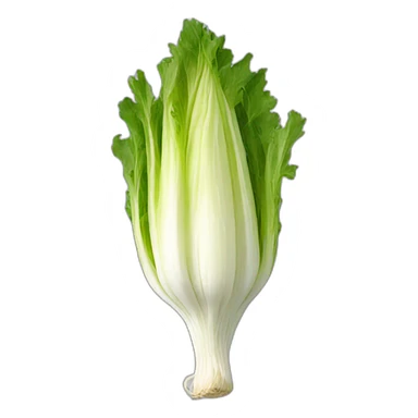 Endive sticker
