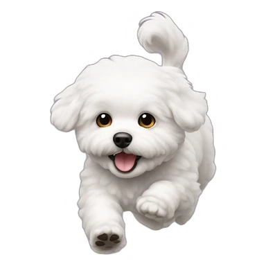 A bichon that comes running in front  sticker