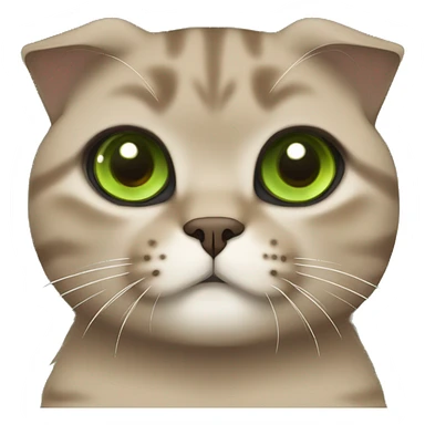 brown scottish fold cat with green eyes  sticker