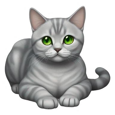 Silver Shaded British Shorthair with green eyes lying on the floor sticker
