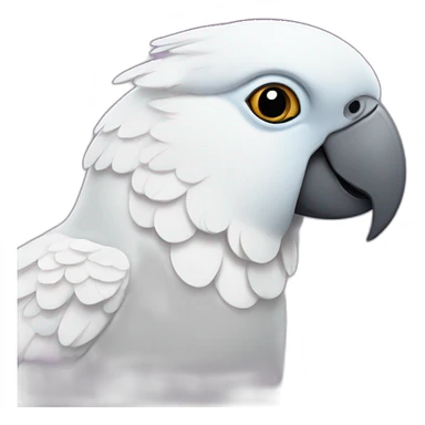Corella parrot sticker