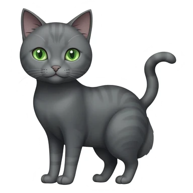 full body view of beautiful female solid dark grey cat with green eyes, grey face, white toes/paws and white patch on her chest sticker