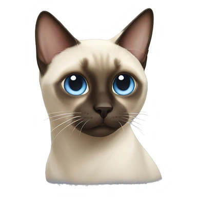 Siamese cat tornado  sticker