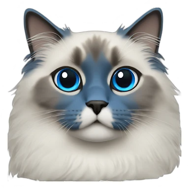 Blue point Ragdoll sticker