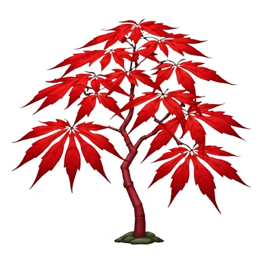 japanese maple sticker