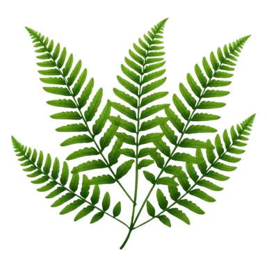 green fern sticker