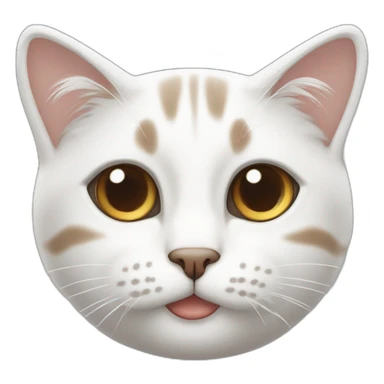 gato blanco con franjas marrones ojos celestes sticker