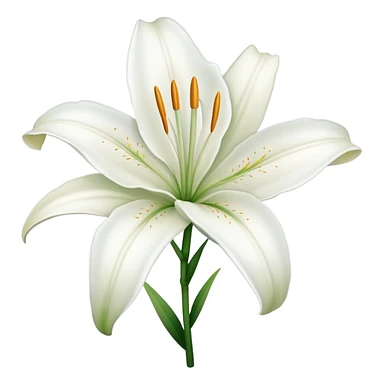 White Lilly sticker
