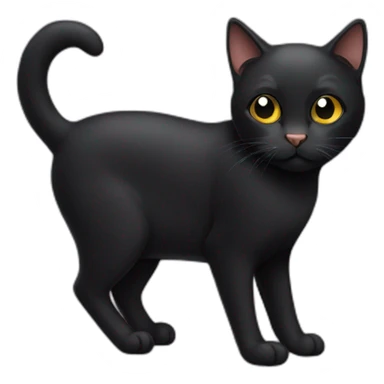 Pursian black cat  sticker