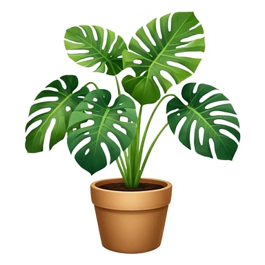 Potted plant, the potted plant contains Monstera deliciosa. sticker