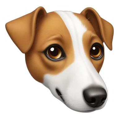 Jack Russell With a spot only in the right eye  sticker