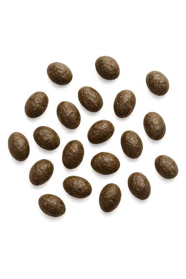 feci di animale a pallini viste dall'alto, isolate su sfondo bianco sticker