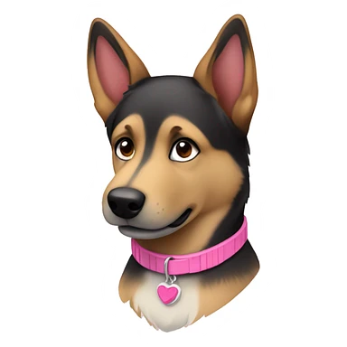 German Shepard husky mix female wearing a pink collar sticker