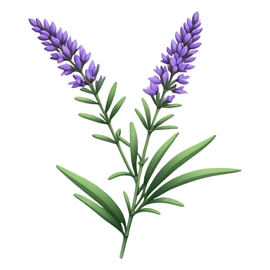 sprig of lavender sticker