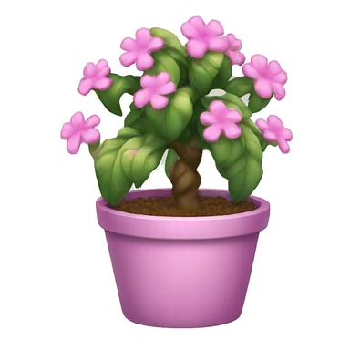 Pink princess plant  sticker
