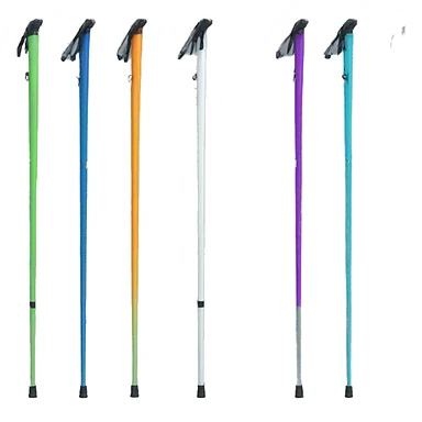 ski poles sticker