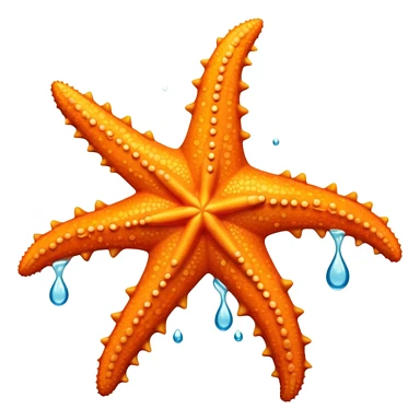 orange starfish with five arms in the ocean sticker