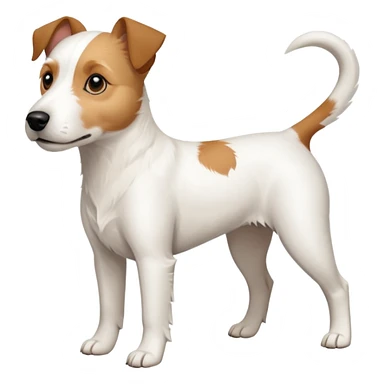 a full body slightly chubby white parson russell terrier looking dog the size of a kelpie with light brown long ears and a light brown patch on one eye and a large snout. the rest of the dog is completely whiteforward facing sticker