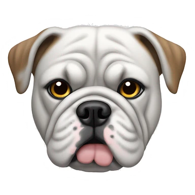 An English bulldog with a gray coat, gray patch over one eye, rest of his face white coat sticker