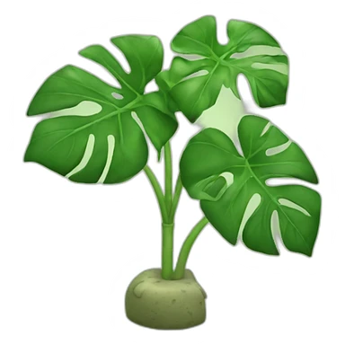 Cheese plant sticker