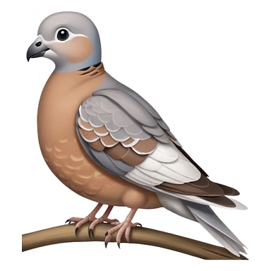 Turtle dove emoji sticker