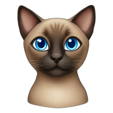 Brown and black siamese Cat with blue eyes sticker