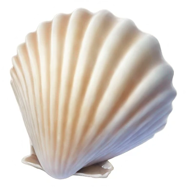 sea shell sticker