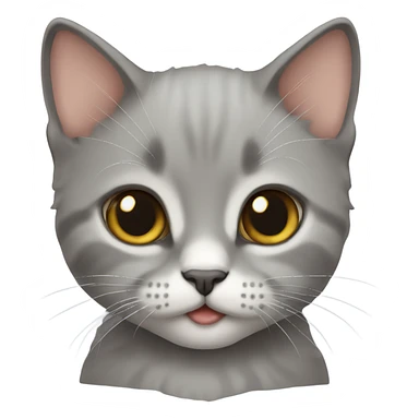 british kitten sticker