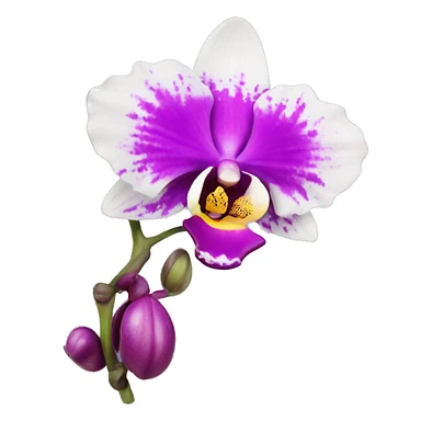 orchid flower sticker
