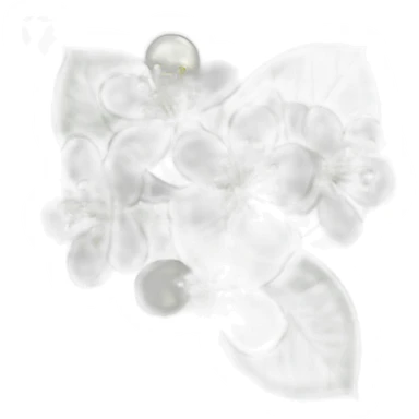 Linden flower sticker