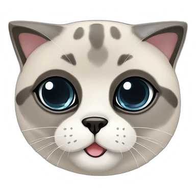 scottish fold seal point cat sticker