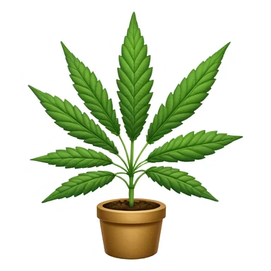 cannabis sticker