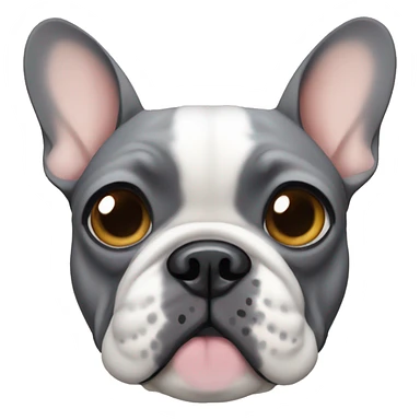 French bulldog grey and tan with tan patches above eyes sticker